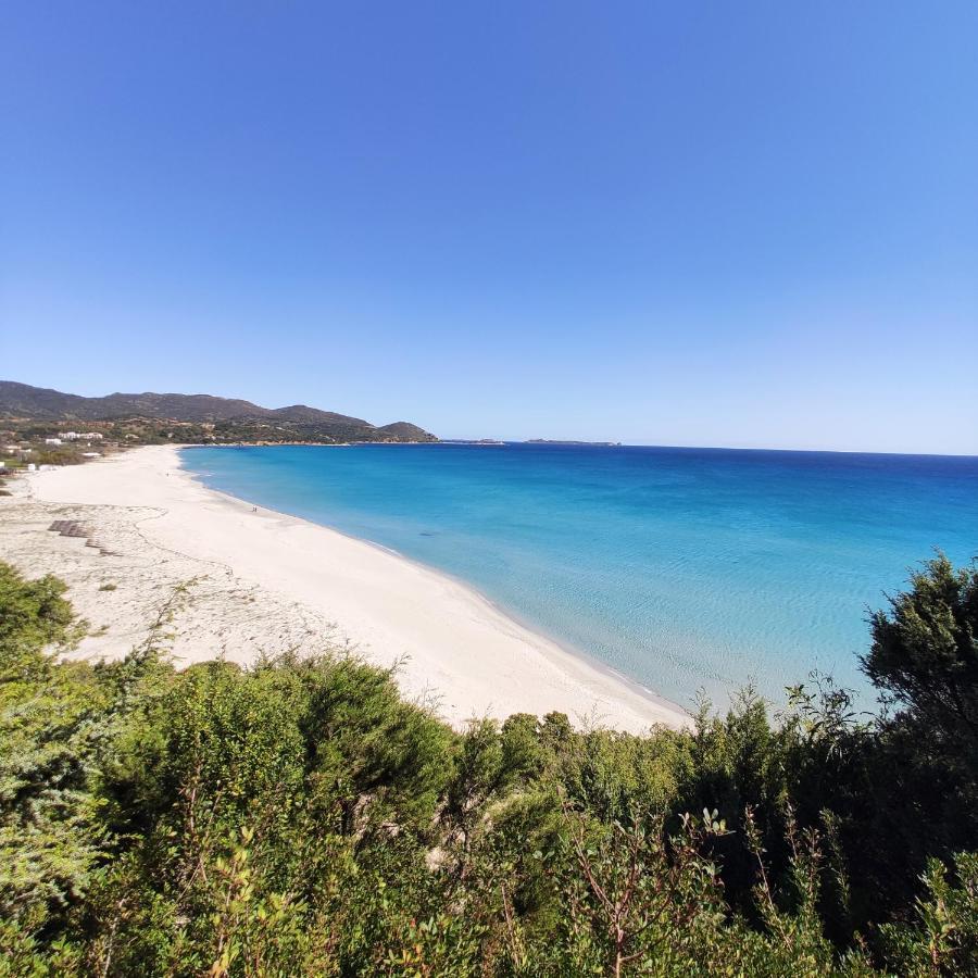 Villa Mannus - Splendida Villa Vista Mare Con Piscina فيلاّسيمِيوس المظهر الخارجي الصورة